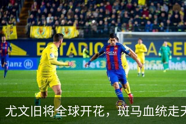 尤文旧将全球开花，斑马血统走天下